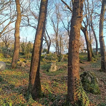 Il Fiore Nel Bosco Orte